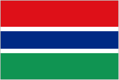 Flag of The Gambia